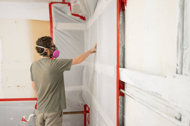 Best Biohazard Mold Removal  in Mannington, WV