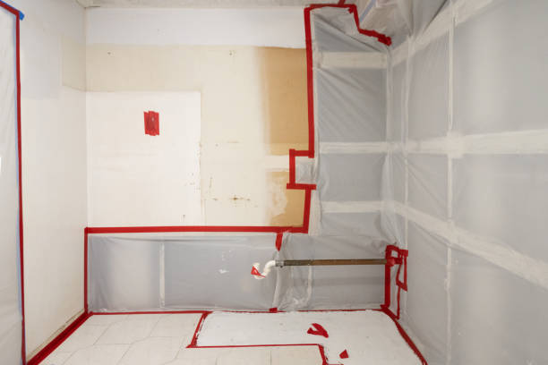 Best Basement Mold Removal  in Mannington, WV