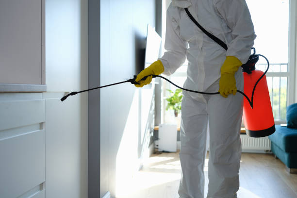 Best Airborne Mold Testing  in Mannington, WV