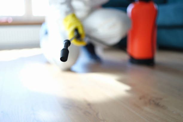 Best Mold Documentation for Insurance Claims  in Mannington, WV
