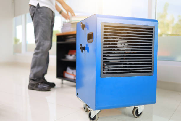 Best Residential Mold Inspection & Testing  in Mannington, WV